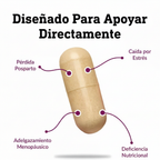 Infografía cápsula limpia sin rayones